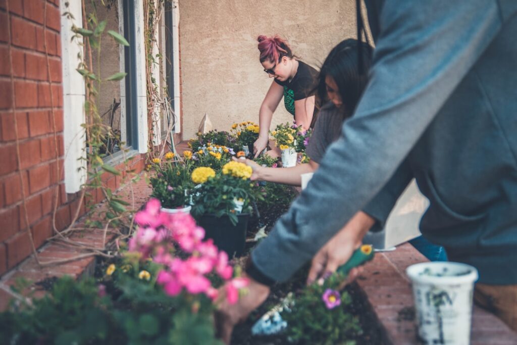 Photo Community garden