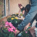 Photo Community garden