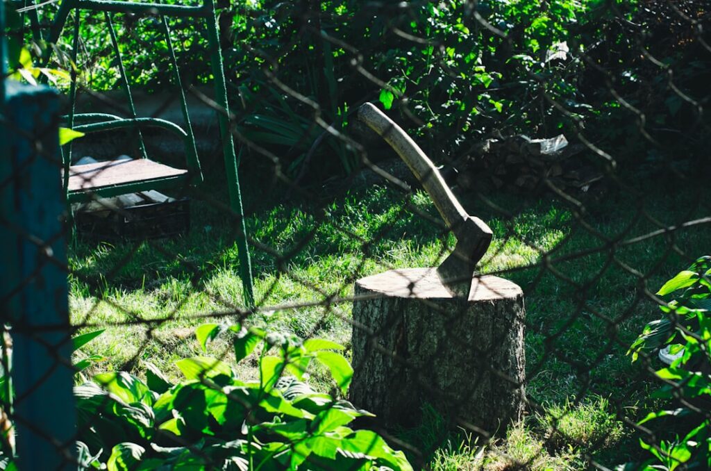 Photo forgotten cities