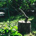 Photo forgotten cities