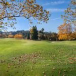 Photo leasing advice